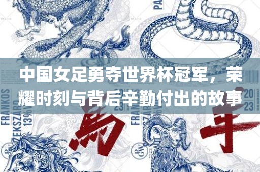 中国女足勇夺世界杯冠军，荣耀时刻与背后辛勤付出的故事眉山市正发家政服务有限公司