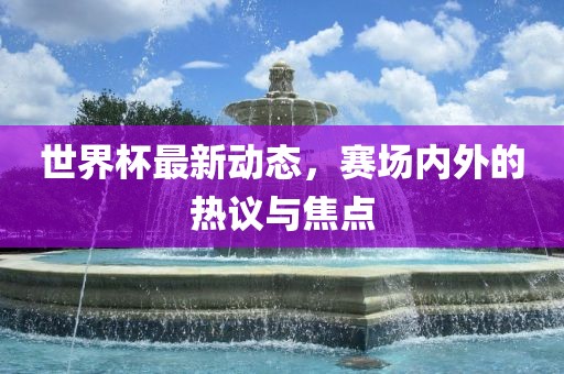 世界杯最新动态，赛场内外的热议与焦点眉山市正发家政服务有限公司