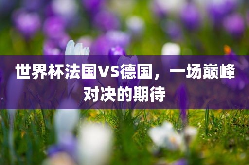 世界杯法国VS德国，一场巅峰对决的期待眉山市正发家政服务有限公司