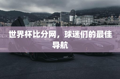 世界杯比分网，球迷们的最佳导航