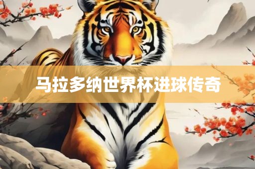 马拉多纳世界杯进球传奇