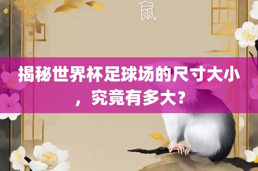 揭秘世界杯足球场的尺寸大小，究竟有多大？