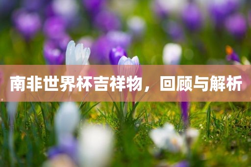 南非世界杯吉祥物，回顾与解析