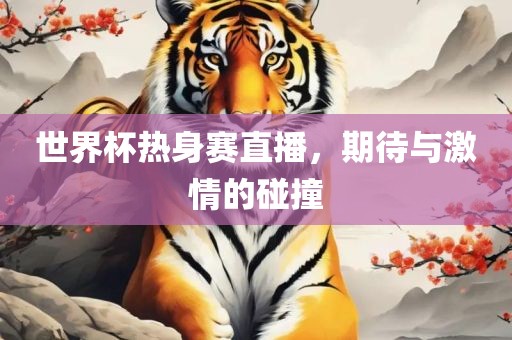 世界杯热身赛直播，期待与激情的碰撞