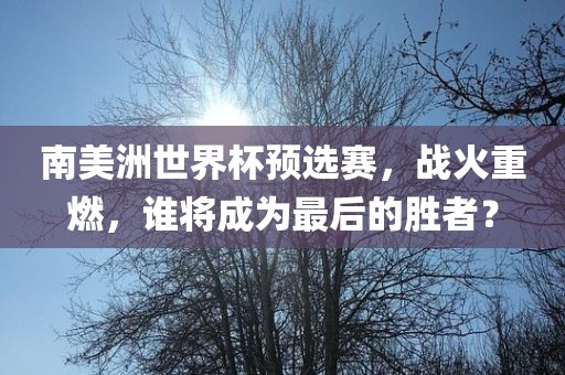南美洲世界杯预选赛，战火重燃，谁将成为最后的胜者？眉山市正发家政服务有限公司