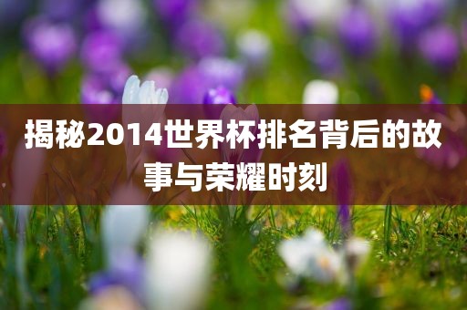 揭秘2014世界杯排名背后的故事与荣耀时刻眉山市正发家政服务有限公司