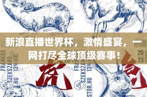 新浪直播世界杯，激情盛宴，一网打尽全球顶级赛事！眉山市正发家政服务有限公司