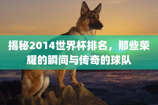 揭秘2014世界杯排名，那些荣耀的瞬间与传奇的球队眉山市正发家政服务有限公司