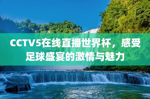 CCTV5在线直播世界杯，感受足球盛宴的激情与魅力