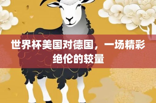 美国 vs 德国对决