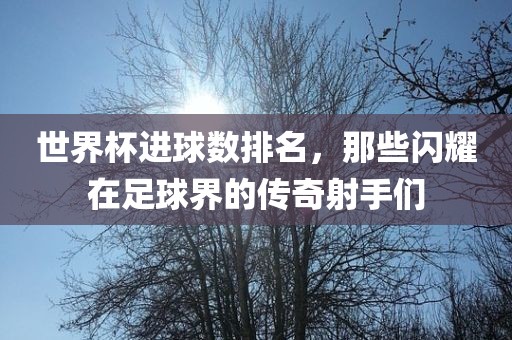 世界杯进球数排名，那些闪耀在足球界的传奇射手们