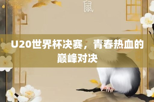 U20世界杯决赛，青春热血的巅峰对决