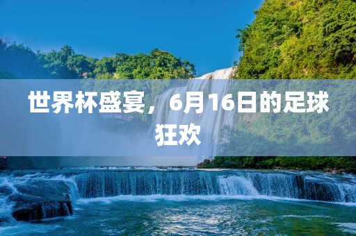 世界杯盛宴，6月16日的足球狂欢眉山市正发家政服务有限公司