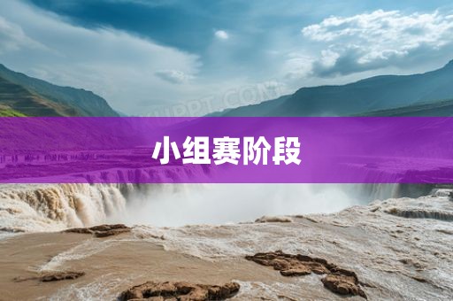 眉山市正发家政服务有限公司小组赛阶段