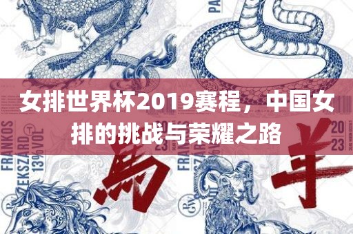 女排世界杯2019赛程，中国女排的挑战与荣耀之路