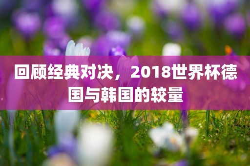 回顾经典对决，2018世界杯德国与韩国的较量眉山市正发家政服务有限公司