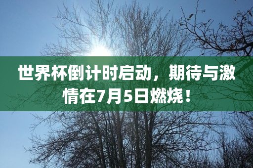 世界杯倒计时启动，期待与激情在7月5日燃烧！眉山市正发家政服务有限公司