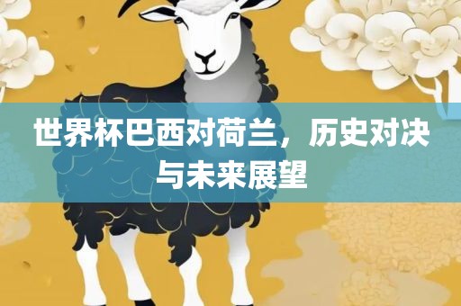 历史与未来展望 第4页