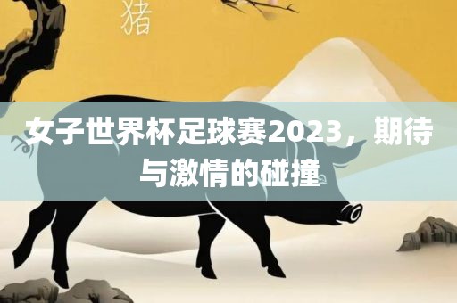 女子世界杯足球赛2023，期待与激情的碰撞