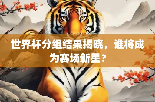 世界杯分组结果揭晓，谁将成为赛场新星？