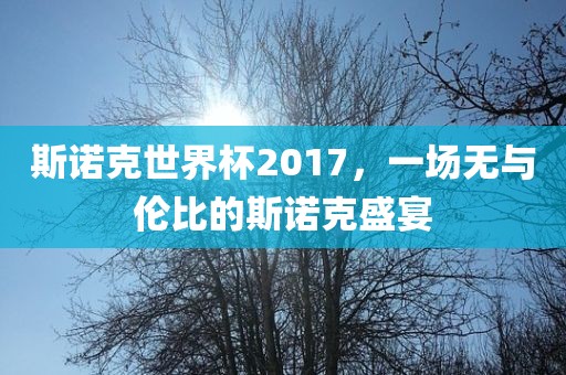 斯诺克世界杯2017，一场无与伦比的斯诺克盛眉山市正发家政服务有限公司宴