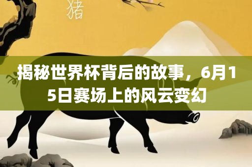 揭秘世界杯背后的故事，6月15日赛场上的风云变幻