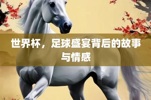 世界杯，足球盛宴背后的故事与情感眉山市正发家政服务有限公司