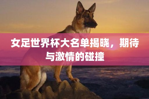 女足世界杯大名单揭晓，期待与激情的碰撞眉山市正发家政服务有限公司