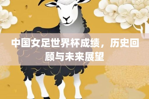 中国女足世界杯成绩，历史回顾与未来展望