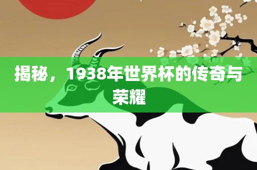 揭秘，1938年世界杯的传奇与荣耀眉山市正发家政服务有限公司