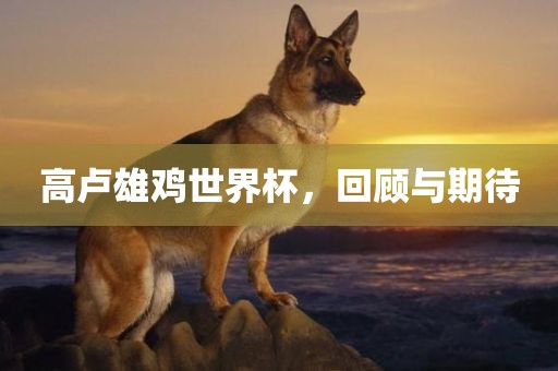 高卢雄鸡世界杯，回顾与期待