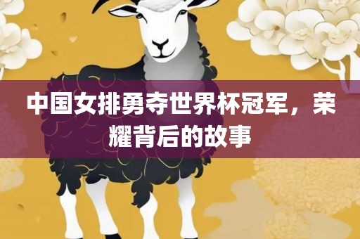 中国女排勇夺世界杯冠军，荣耀背后的故事眉山市正发家政服务有限公司