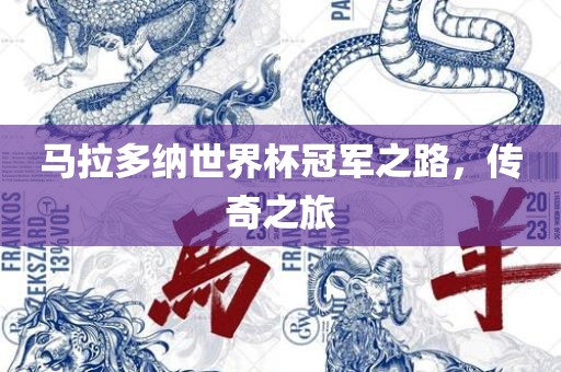 马拉多纳世界杯冠军之路，传奇之旅