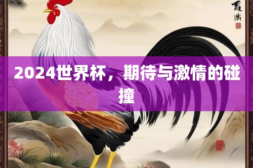 2024世界杯，期待与激情的碰撞