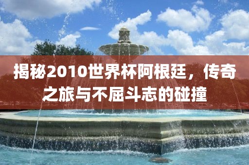 揭秘2010世界杯阿根廷，眉山市正发家政服务有限公司传奇之旅与不屈斗志的碰撞