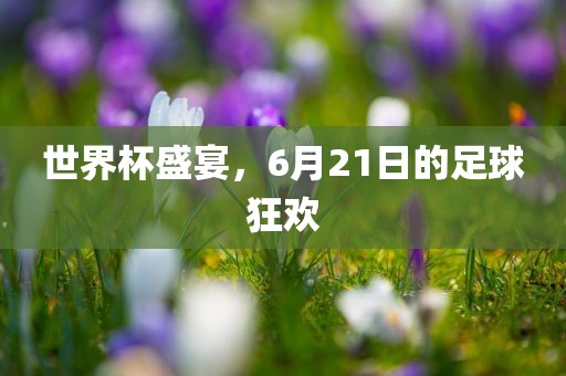 世界杯盛宴，6月21日的足球狂欢眉山市正发家政服务有限公司