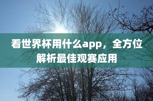 看世界杯用什么app，眉山市正发家政服务有限公司全方位解析最佳观赛应用