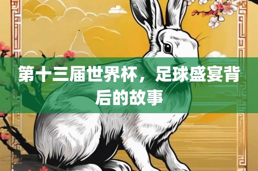 第十三届世界杯，足球盛宴背后的故事眉山市正发家政服务有限公司