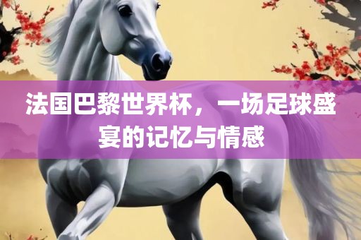 法国巴黎世界杯，一场足球盛宴的记忆与情感
