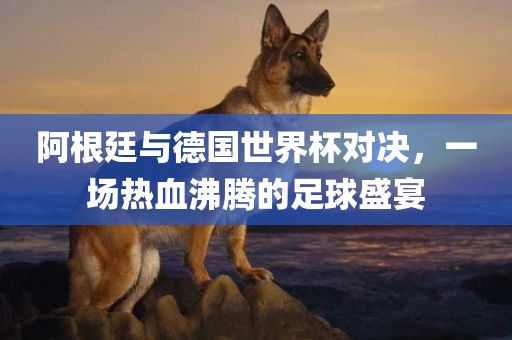 阿根廷与德国世界杯对决，一场热血沸腾的足球盛宴眉山市正发家政服务有限公司