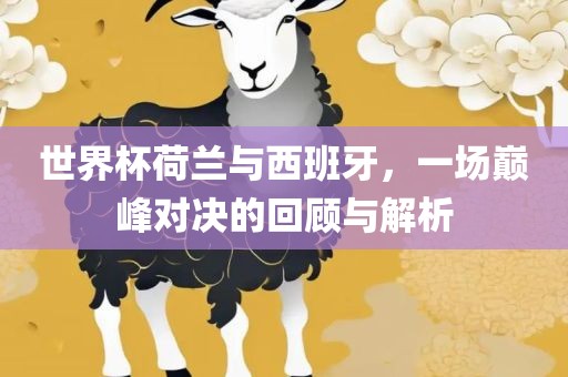 世界杯荷兰与西班牙，一场巅峰对决的回顾与解析眉山市正发家政服务有限公司