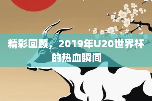 精彩回顾，2019年U20世界杯的热血瞬间