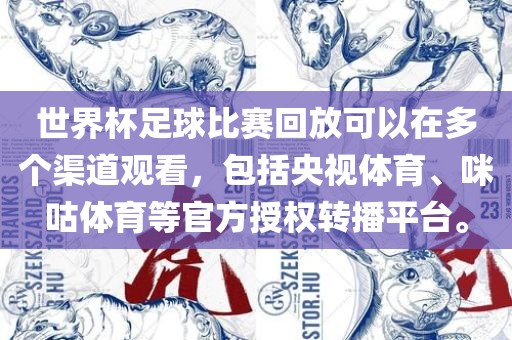 世界杯足球比赛回放可以在多个渠道观看，包括央视体育、咪咕体育等官方授权转播平台。眉山市正发家政服务有限公司