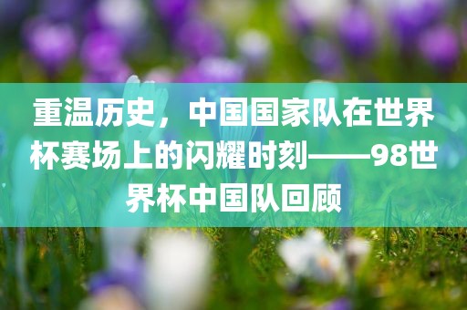 重温历史，中国国家队在世界杯赛场上的闪耀时刻——98世界杯中国队回顾眉山市正发家政服务有限公司