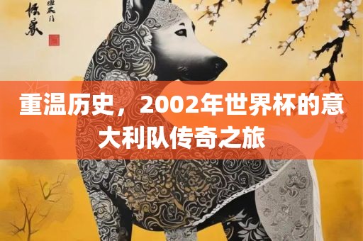 重温历史，2002年世界杯的意大利队传奇之旅眉山市正发家政服务有限公司