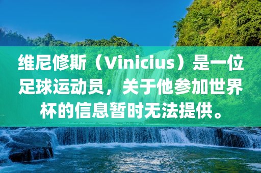 维尼修斯（Vinicius）是一位足球运动员，关于他参加世界杯的信息暂时无法提供。眉山市正发家政服务有限公司