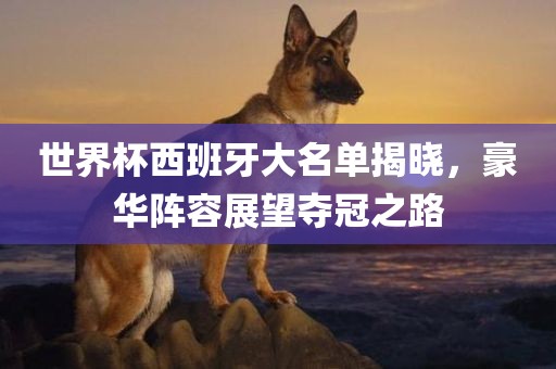 世界杯西班牙大名单揭晓，豪华阵容展望夺冠之路