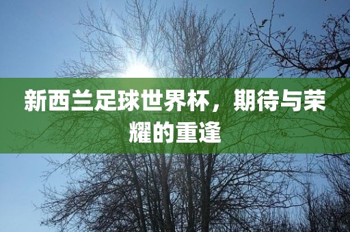 新西兰足球世界杯，期待与荣耀的重逢