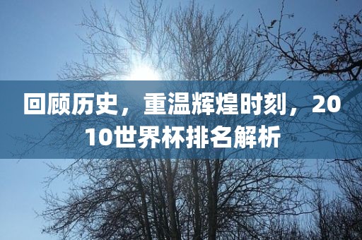 回顾历史，重温辉煌时刻，2010世界杯排名解析