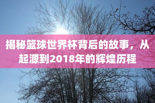 揭秘篮球世界杯背后的故事，从起源到2018年的辉煌历程眉山市正发家政服务有限公司